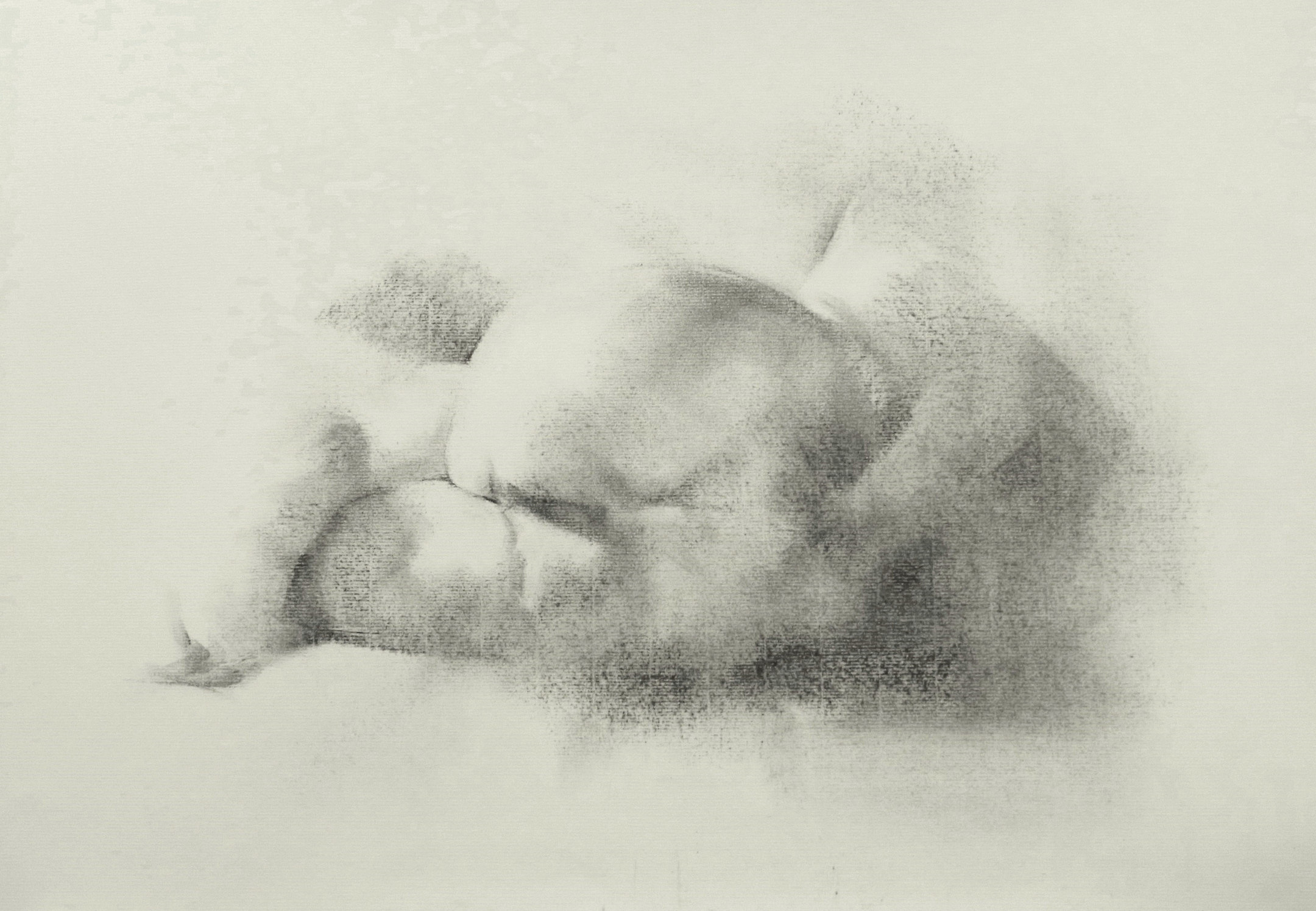 Untitled &mdash; Jasmin Harell